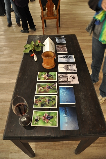 DSC_4736 small Hannu exhibition cards.jpg - 175155 Bytes